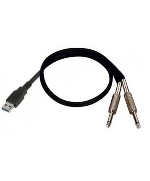 Convertidor usb a 2xjack 6.3mm input nono 