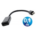 Adaptador mini displayport macho a displayport hembra 0.1m